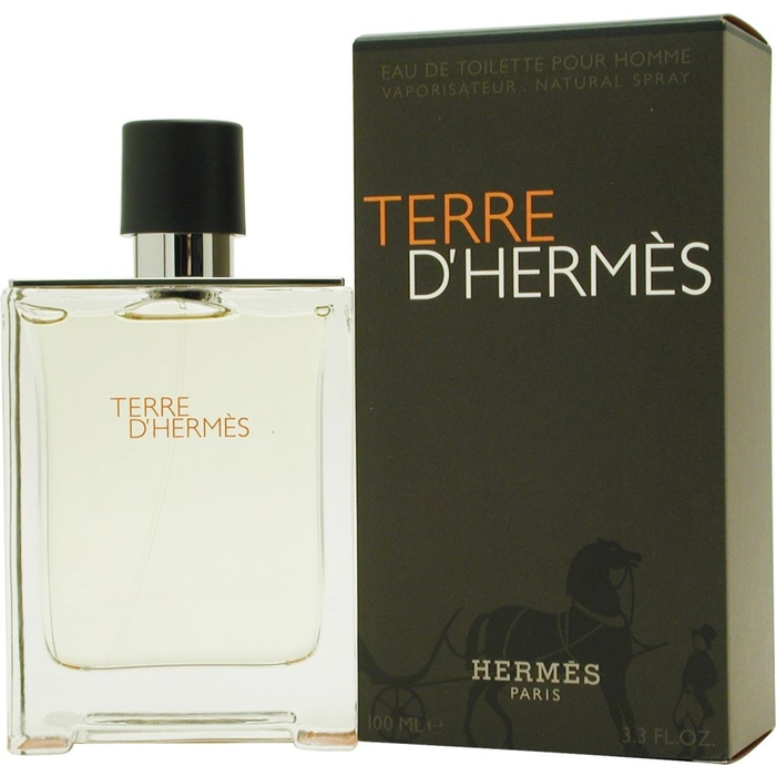 Hermès Terre d'Hermès Eau de Toilette 100 ml Spray
